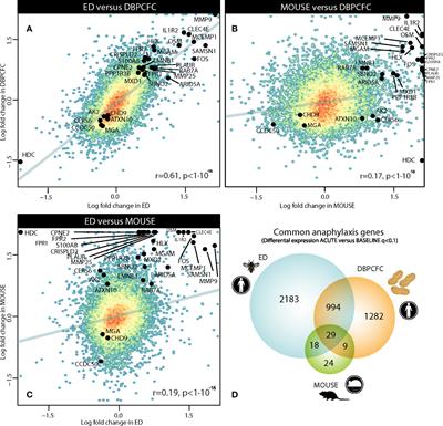 Integrative transcriptomic analysis in human and mouse model of anaphylaxis identifies gene signatures associated with cell movement, migration and neuroinflammatory signalling